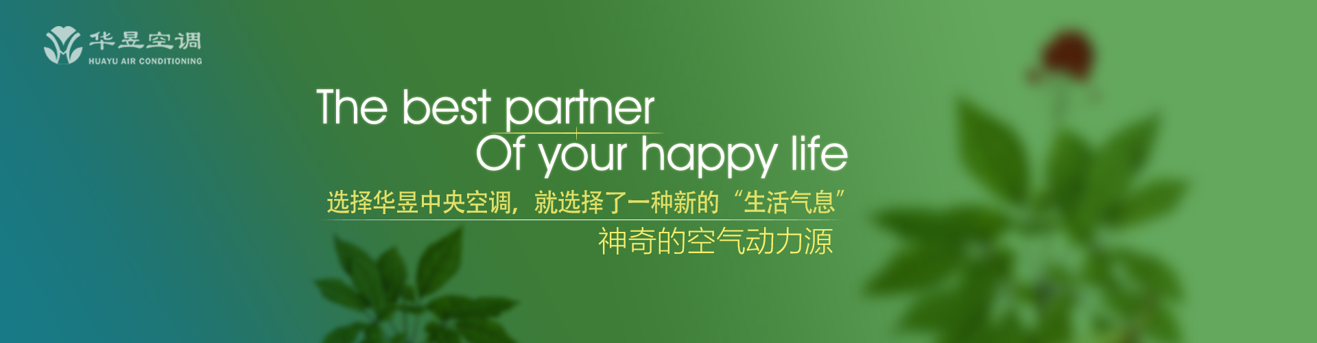 切中时病网